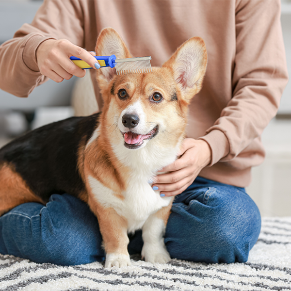 Pet Grooming Supplies