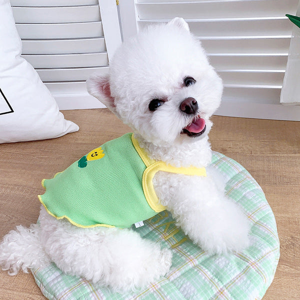 Slim Summer Sheer Pet Clothes – Small Dogs & Cats