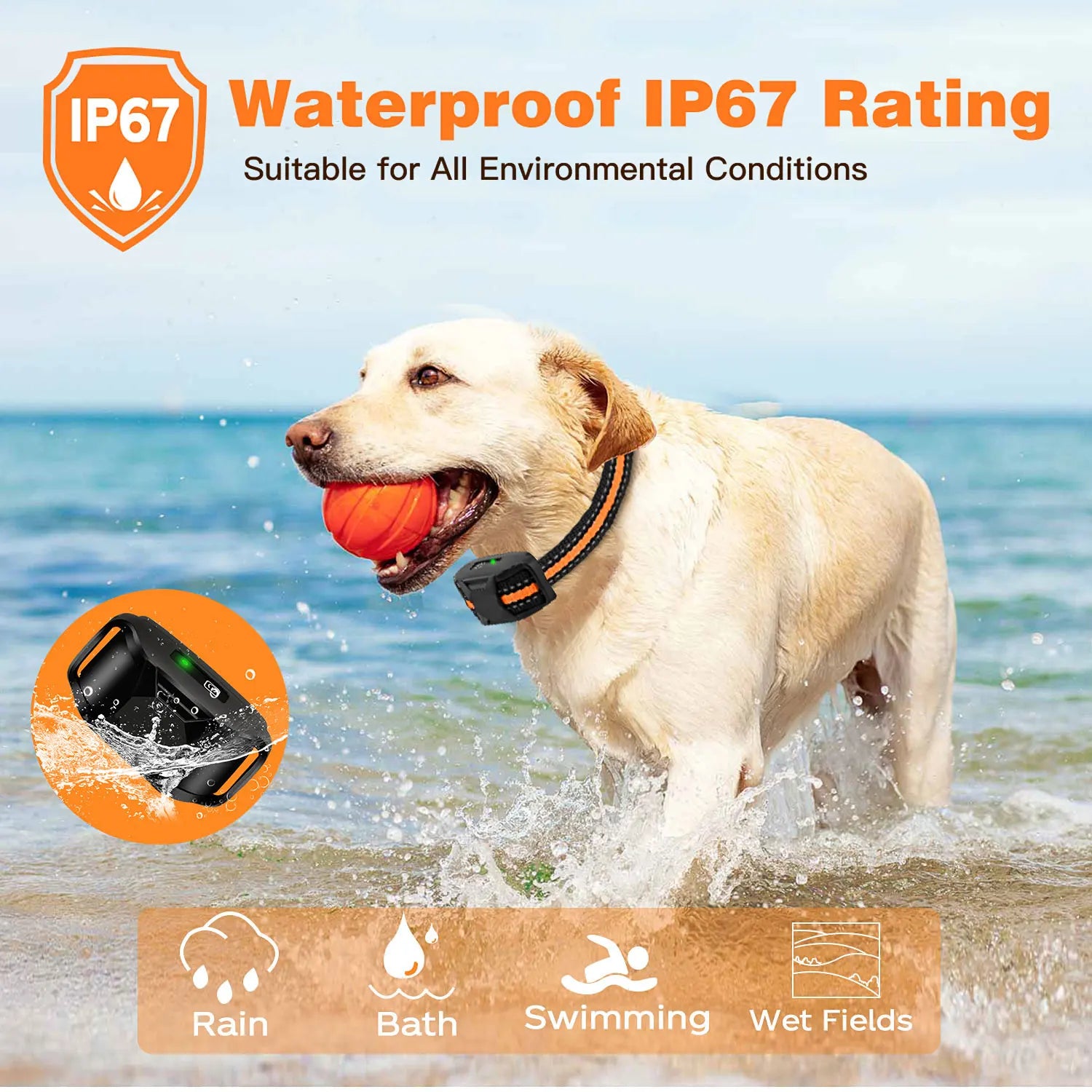 3300ft Waterproof Dog Training Collar – Remote Control