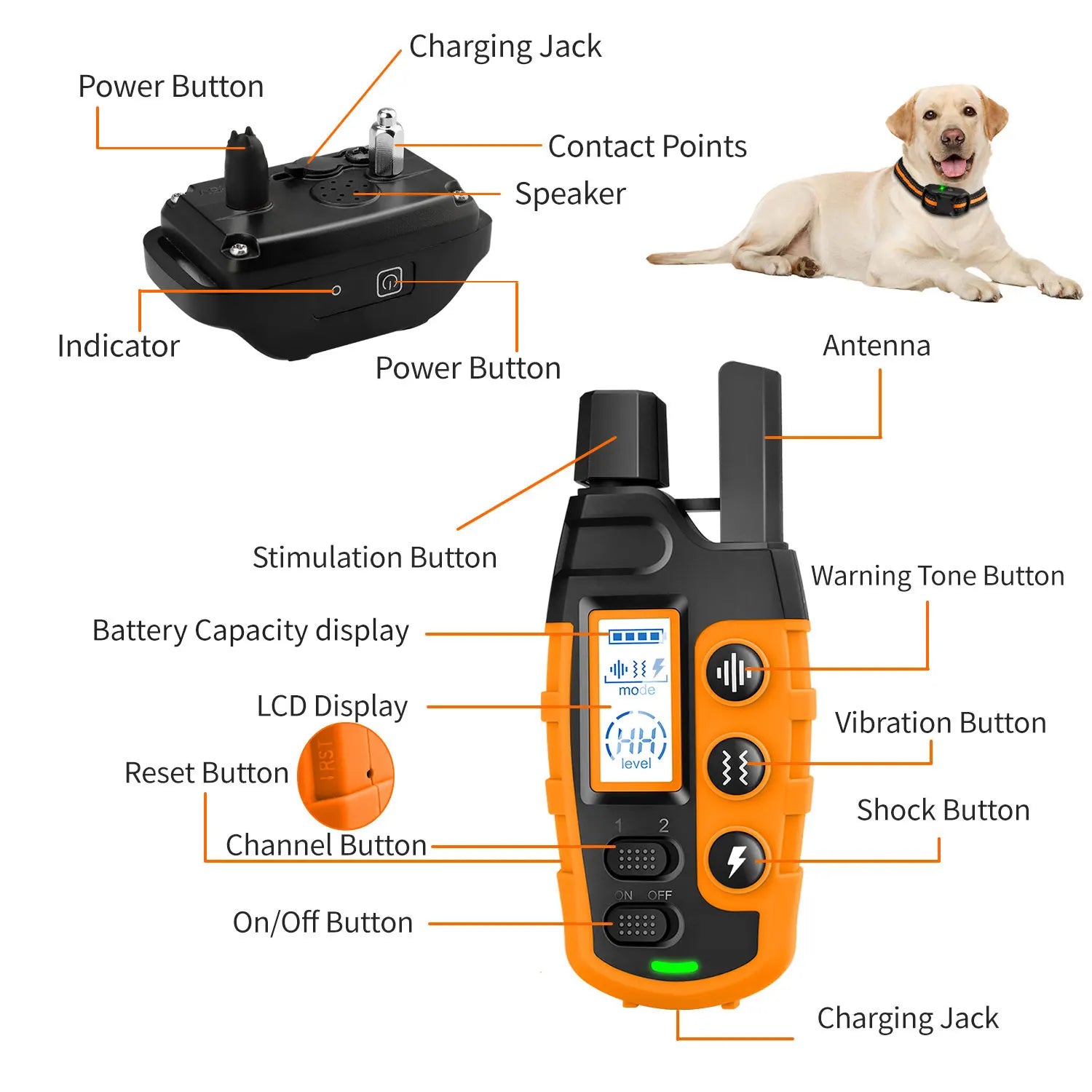 3300ft Waterproof Dog Training Collar – Remote Control