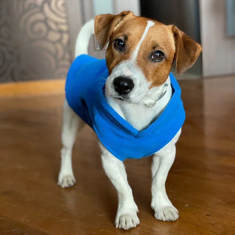 Fleece Dog Vest – Winter Clothes for Small Dogs