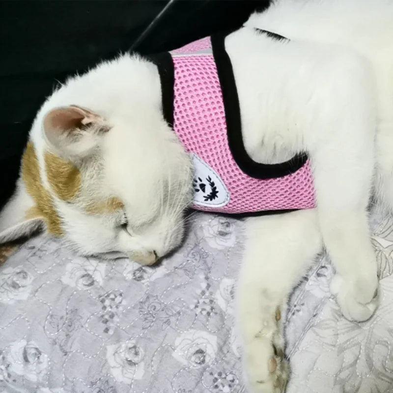 Adjustable Reflective Pet Harness with Leash