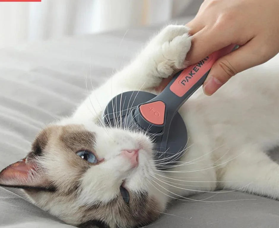 EasyClean Pet Grooming Brush