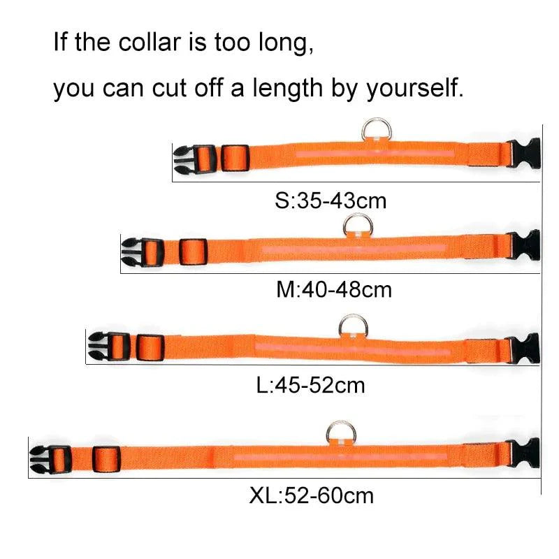 Glowing Night Safety Pet Collar