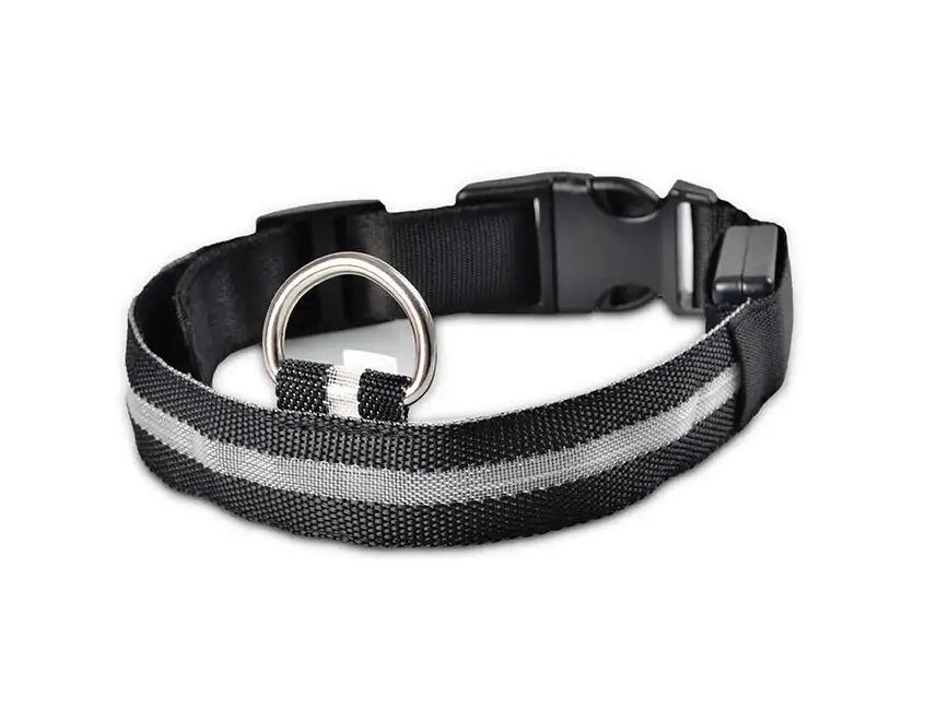 Glowing Night Safety Pet Collar